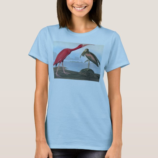 Camiseta Audubon: Scarlet Ibis (Anverso)