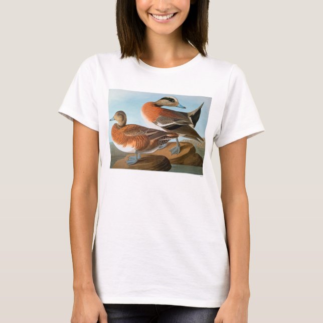 Camiseta Audubon: Wigeon (Anverso)