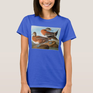 Camiseta Audubon: Wigeon