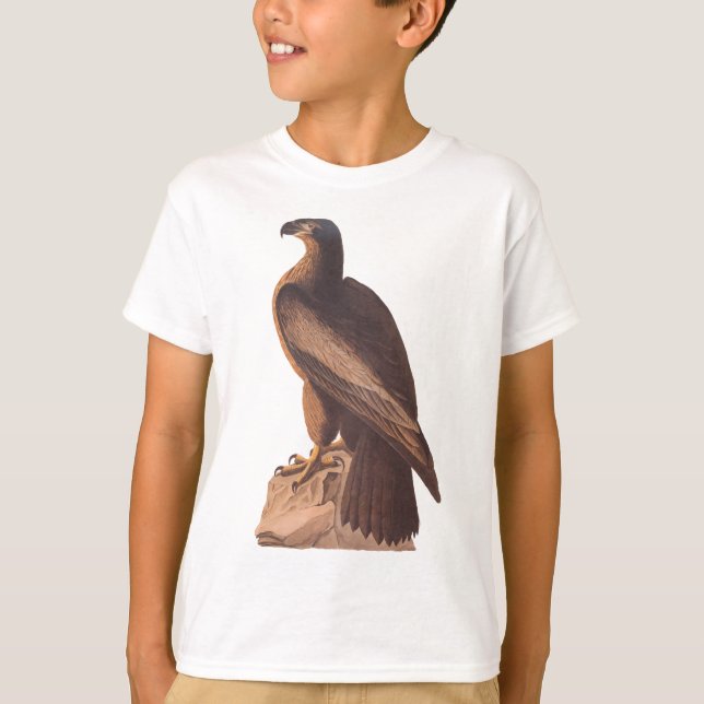 Camiseta Audubon Young Bald Eagle (Anverso)