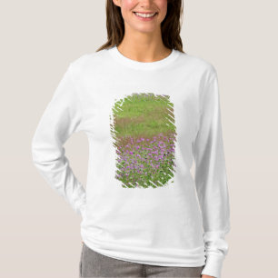 Camiseta Aumento de la reina Anne's Lace Daucus (carota)