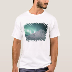Camiseta Aurora Boreal, cerca de Palmer, 17/18 de enero,