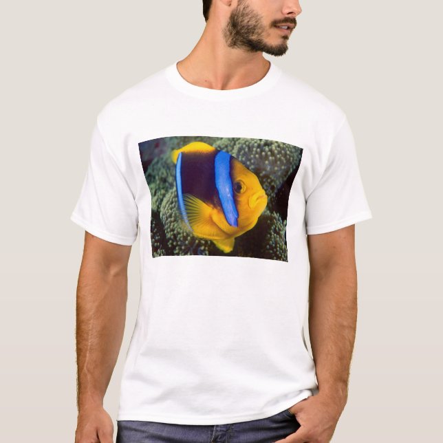 Camiseta Australia, Gran Barrera de Coral, Pez payaso (Anverso)