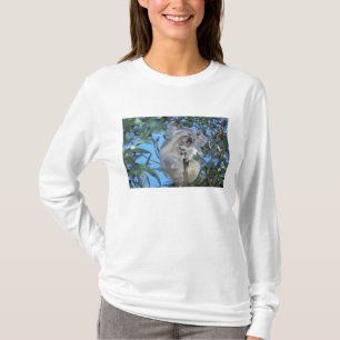Camiseta Australia, Koala Phasclarctos Cinereus)