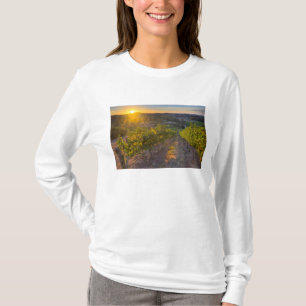 Camiseta Australia Meridional, Adelaide Hills, Summertown.