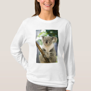 Camiseta Australia, Queensland, Brisbane, Fig Tree