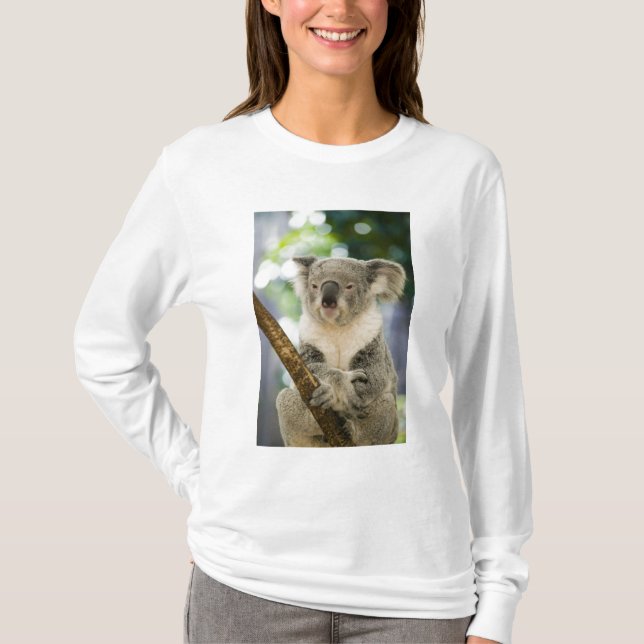 Camiseta Australia, Queensland, Brisbane, Fig Tree (Anverso)