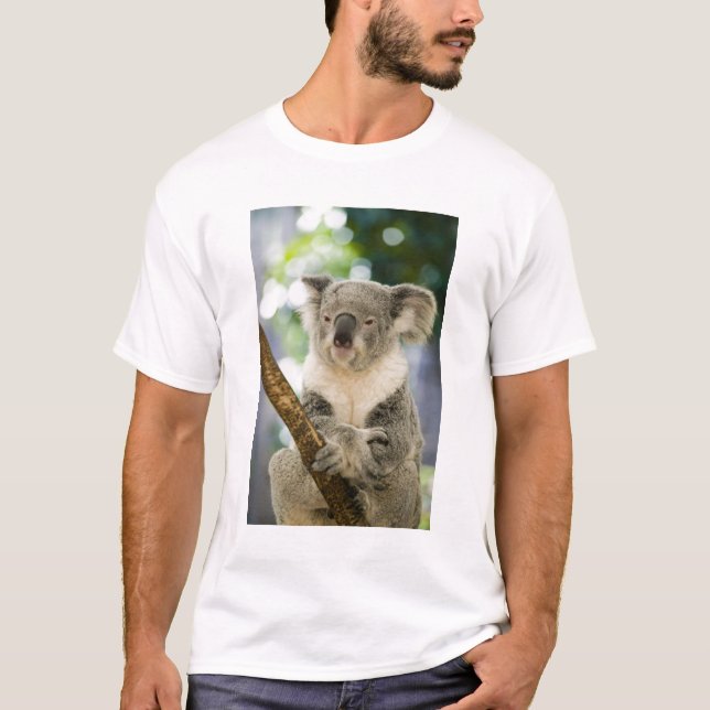 Camiseta Australia, Queensland, Brisbane, Fig Tree (Anverso)