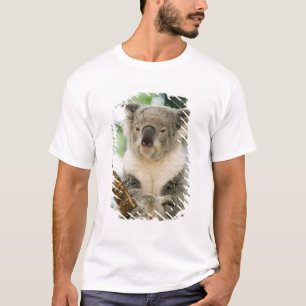 Camiseta Australia, Queensland, Brisbane, Fig Tree