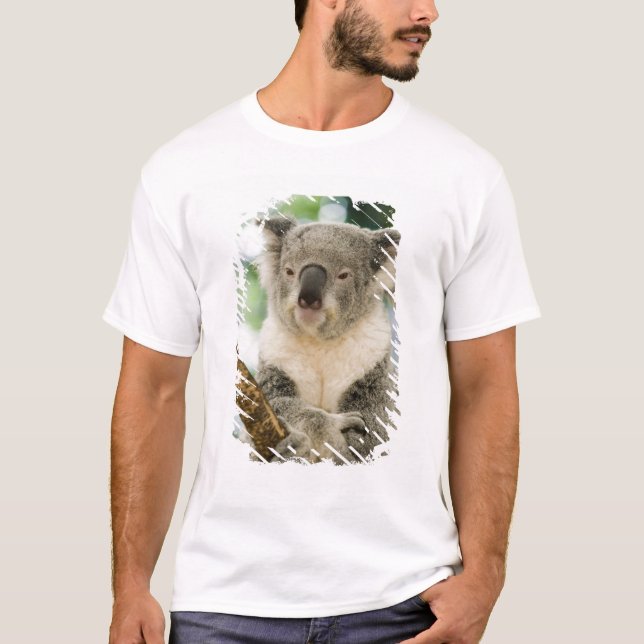 Camiseta Australia, Queensland, Brisbane, Fig Tree (Anverso)