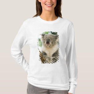 Camiseta Australia, Queensland, Brisbane, Fig Tree