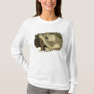 Camiseta Australia, Queensland, Brisbane. Higuera