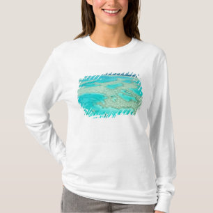 Camiseta Australia, Queensland, Costa Whitsunday, Gran 7