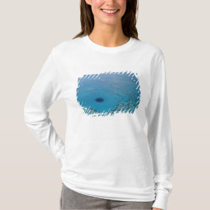 Camiseta Australia, Queensland. Gran Barrera de Coral