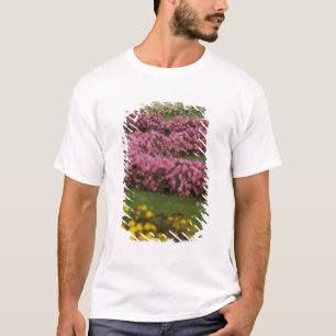 Camiseta Austria, Viena. Barroco de María Teresa
