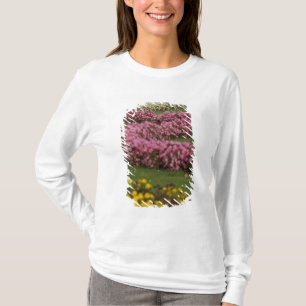 Camiseta Austria, Viena. Barroco de María Teresa