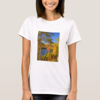 Autumn tree landscape, Maine
