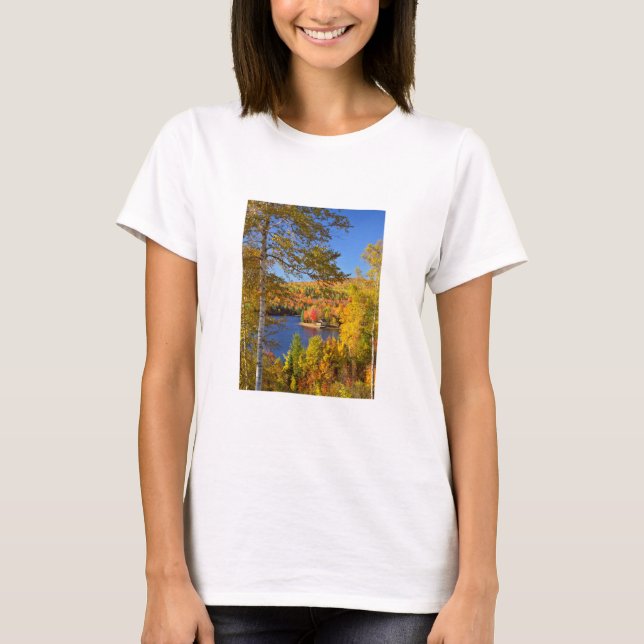 Camiseta Autumn tree landscape, Maine (Anverso)