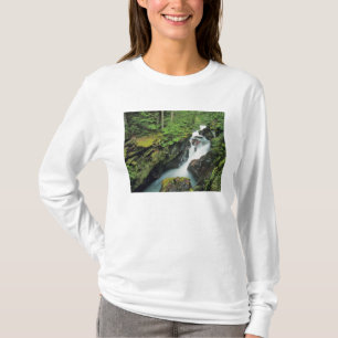 Camiseta Avalancha Garganta en Glacier National Park en