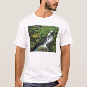 Camiseta Avalancha Garganta en Glacier National Park en