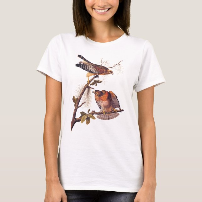Camiseta Ave Audubon de Halcón Rojo de Prey (Anverso)