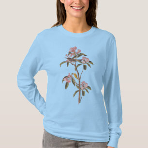 Camiseta Ave Audubon del Kinglet Cuvier en el Calico-Bush r