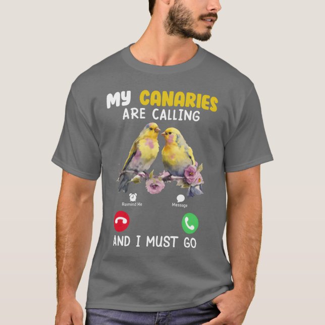 Camiseta Ave canaria, mis canarios llaman a chico amante de (Anverso)