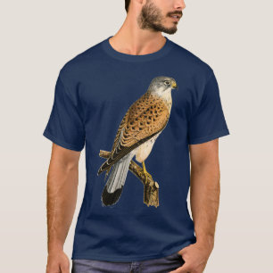 Camiseta Ave de Kestrel