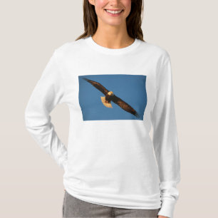 Camiseta Ave de presa, águila calva en vuelo, Kachemak
