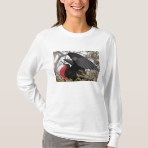 Camiseta Ave fragata magnífica