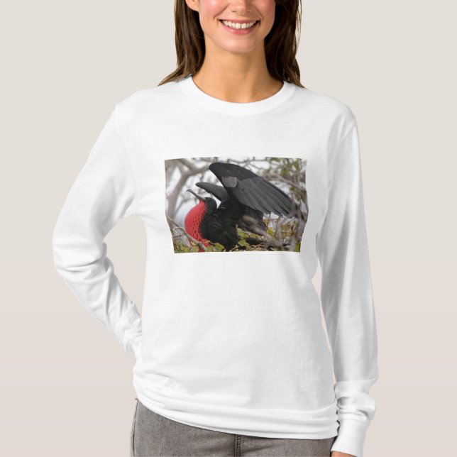 Camiseta Ave fragata magnífica (Anverso)