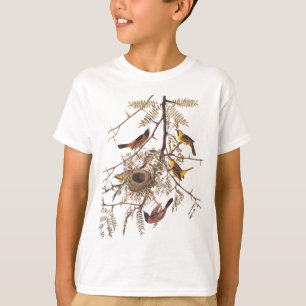 Camiseta Ave oriole de Audubón en árbol de langosta de miel