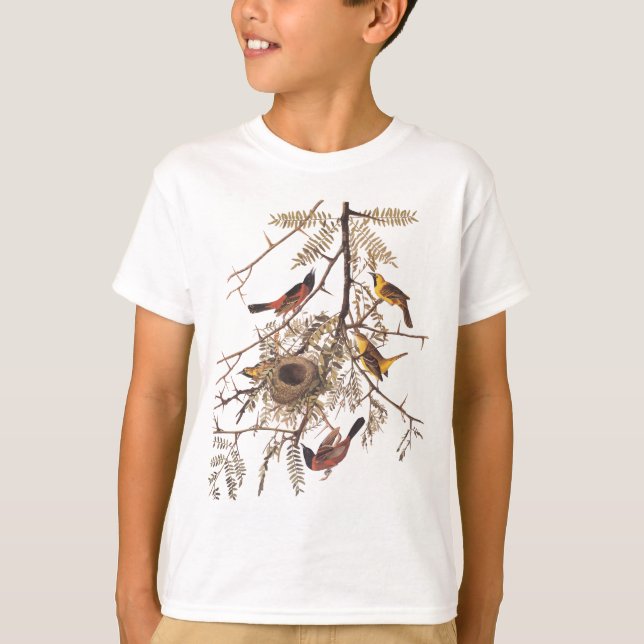 Camiseta Ave oriole de Audubón en árbol de langosta de miel (Anverso)