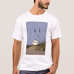 Camiseta Avena de mar Uniola paniculata) creciendo en arena