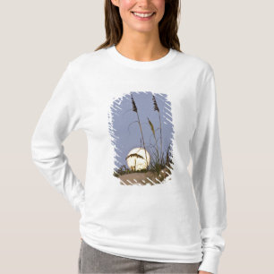 Camiseta Avena de mar Uniola paniculata) creciendo en arena