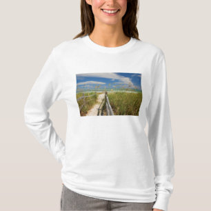 Camiseta avena marina Uniola paniculata) cultivada en la pl