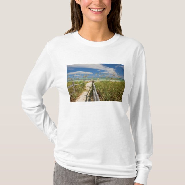 Camiseta avena marina Uniola paniculata) cultivada en la pl (Anverso)