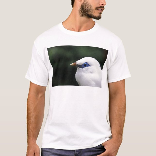 Camiseta Aves (Anverso)