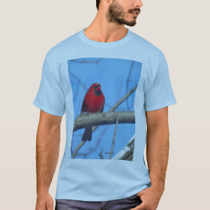 Camiseta Aves cardinales