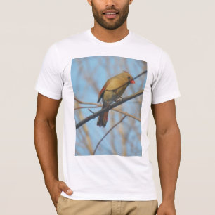 Camiseta Aves cardinales