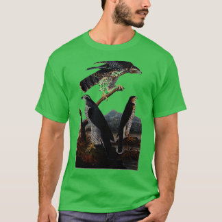 Camiseta Aves de Goshawk de Prey Hawk Raptors vintage