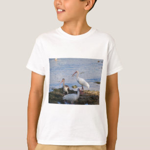 Camiseta Aves del Ibis a orillas de la bahía de Florida