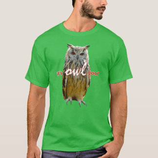 Camiseta Aves Owls Memeee amigo vintage