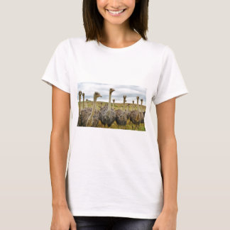 Camiseta avestruz