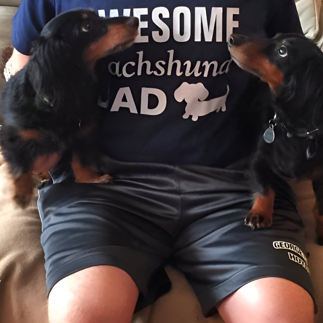 Camiseta Awesome Dachshund Dad Shirt (Subido por el creador)