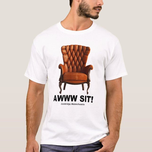 Camiseta Awww Sit Cambridge Massachusetts Tee (Anverso)