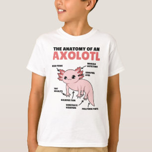 Camiseta Axolotl Explanation Anatomy Of An Axolotl