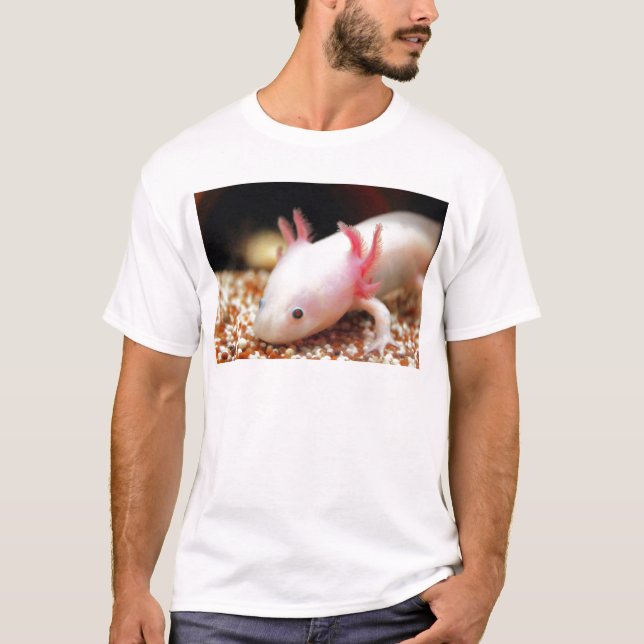 Camiseta Axolotl Weißling (Anverso)