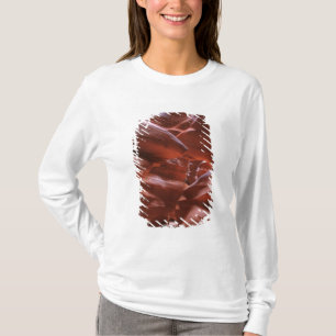 Camiseta AZ, Arizona, Página, Cañón del Antelope Superio