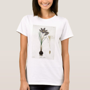 Camiseta Azafrán de azafrán de "Phytographie Medicale" po